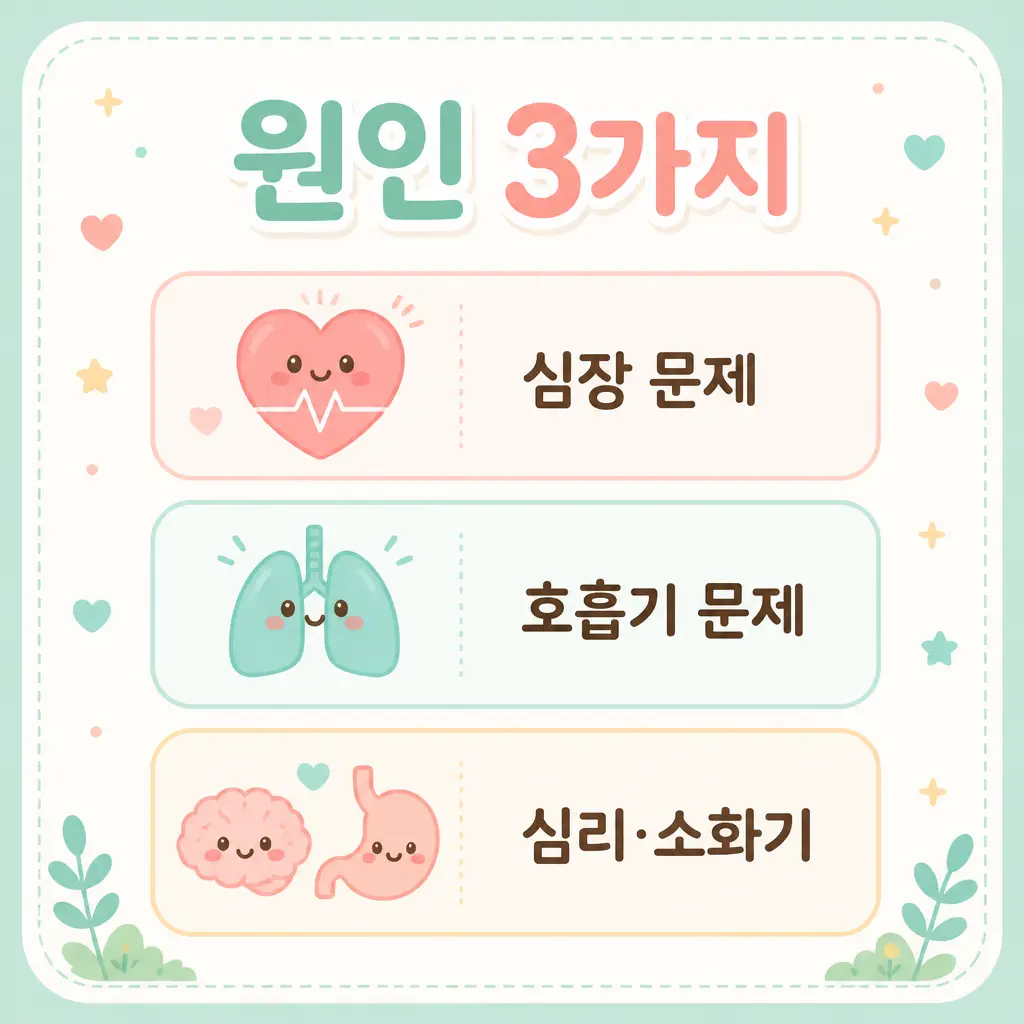 가슴 답답 원인 가슴 답답 호흡곤란 원인 3가지 심장 호흡기 심리 소화기