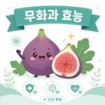 무화과 효능과 부작용 섭취법