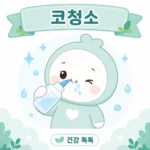 코청소 방법과 효과