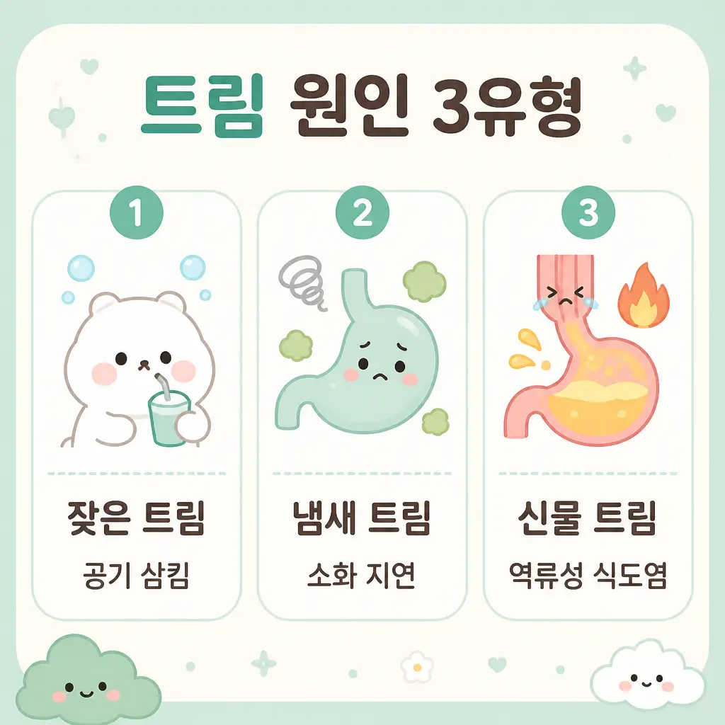 트림 원인 3유형 공기 삼킴 소화 지연 역류성 식도염